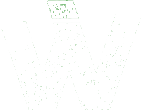 logo de l'application, un w en blanc sur fond vert